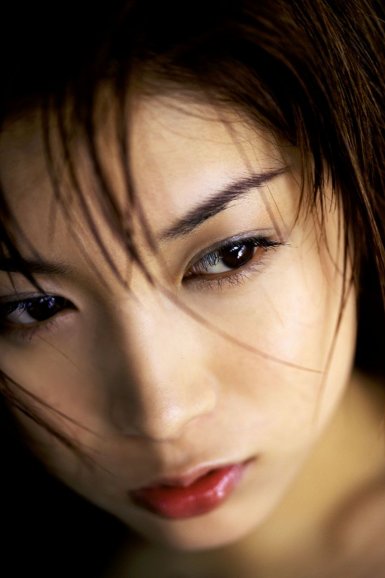 开云体育登录：《混